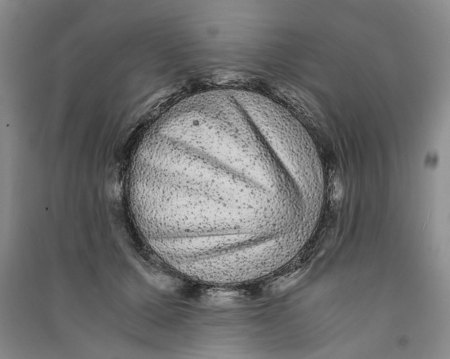 X0000090860607200708171606