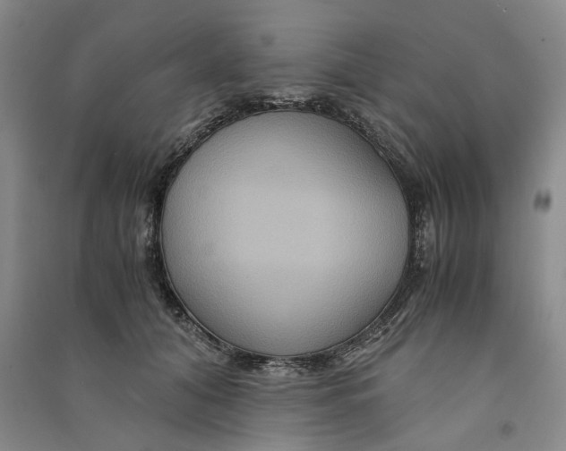 X0000090860608200708171606