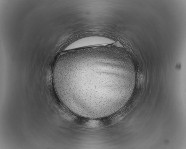 X0000090860609200708171606