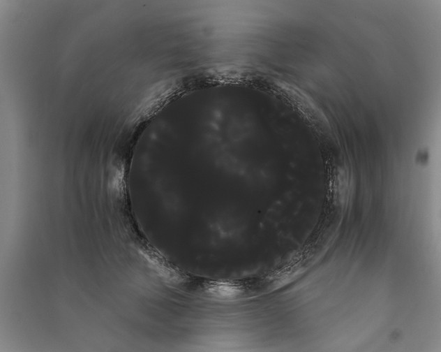 X0000090860610200708171606
