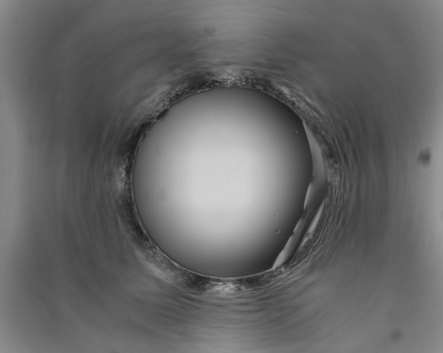 X0000090860611200708171606
