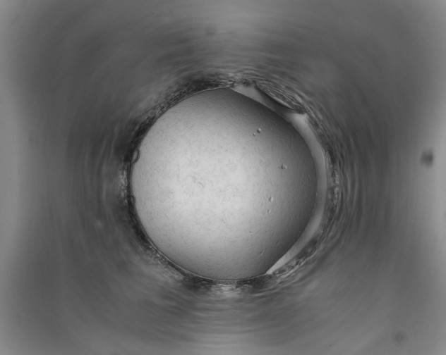 X0000090860613200708171606
