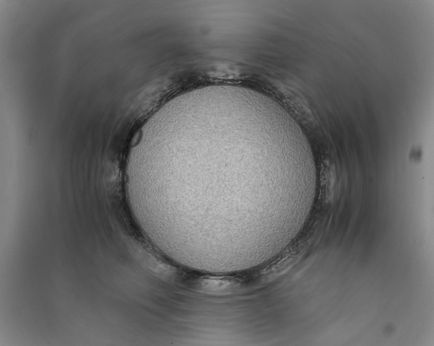 X0000090860614200708171606