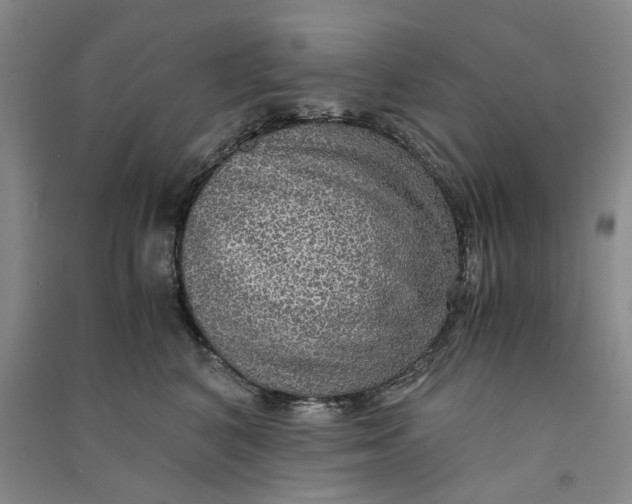X0000090860616200708171606