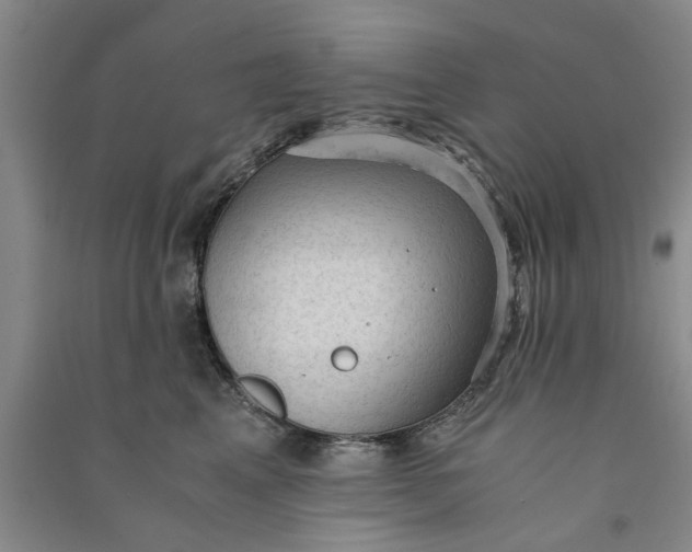 X0000090860617200708171606