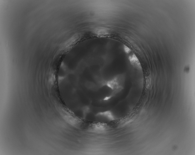 X0000090860618200708171606