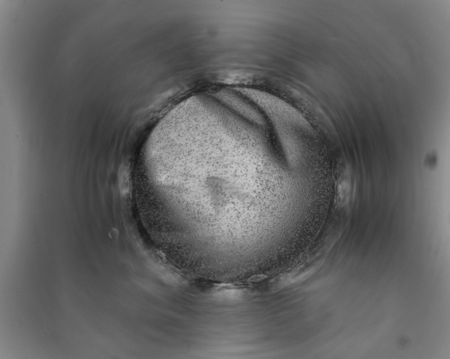 X0000090860620200708171606
