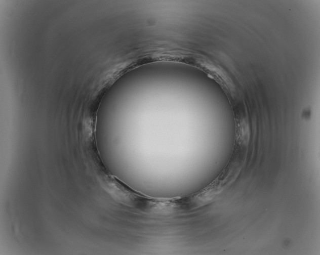 X0000090860621200708171606