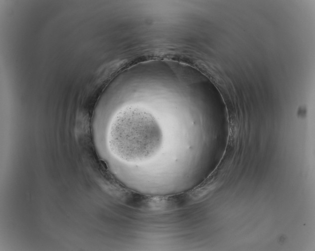 X0000090860623200708171606