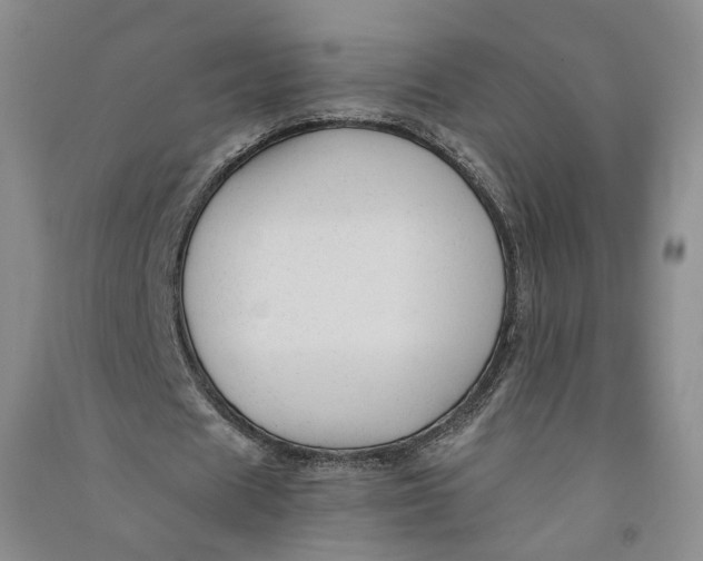 X0000090860625200708171606