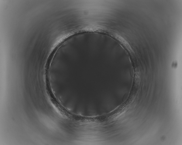 X0000090860626200708171606