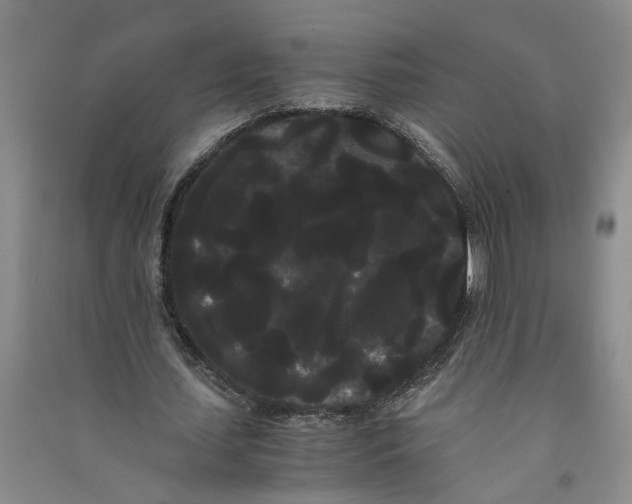 X0000090860627200708171606