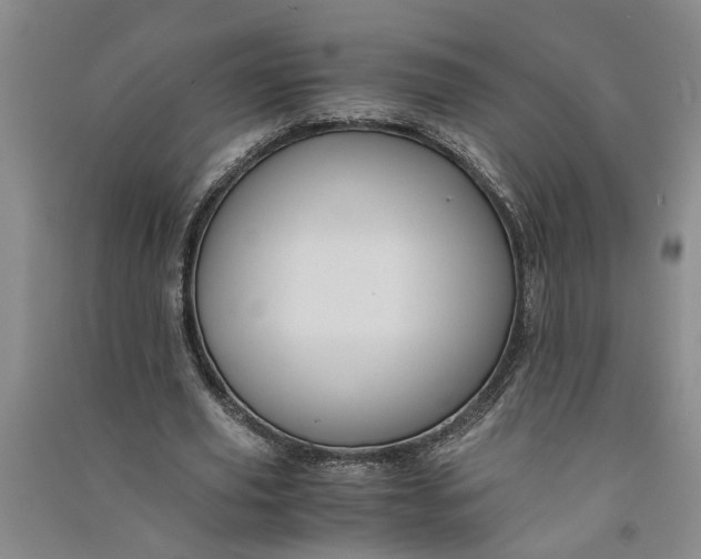 X0000090860629200708171606