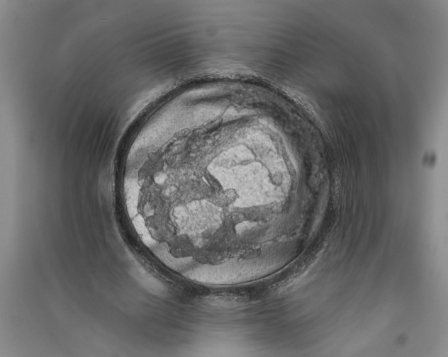 X0000090860630200708171606