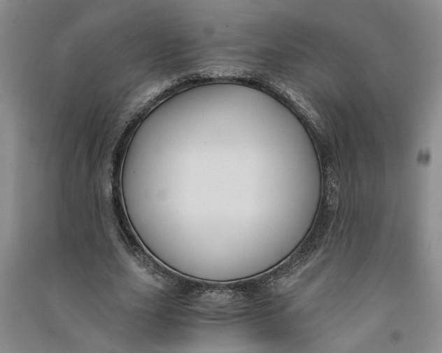 X0000090860631200708171606