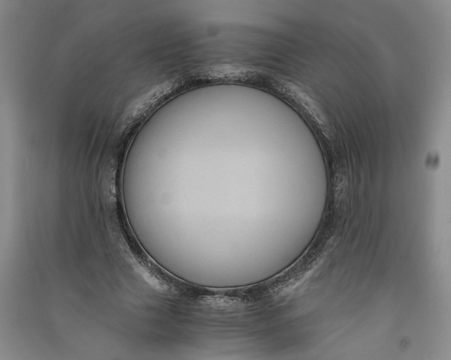 X0000090860633200708171606