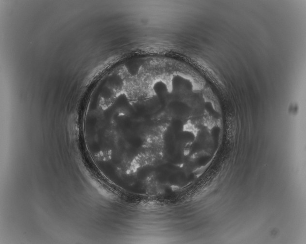 X0000090860634200708171606