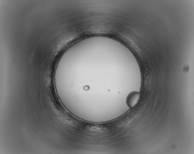 X0000090860635200708171606
