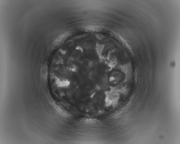 X0000090860637200708171606