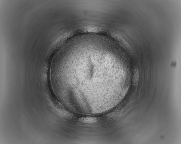 X0000090860639200708171606