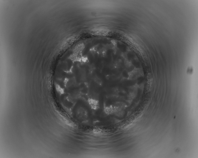 X0000090860641200708171606