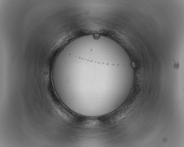 X0000090860642200708171606