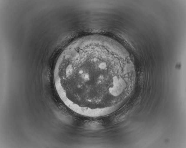 X0000090860643200708171606