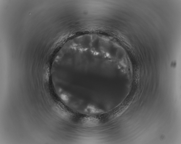 X0000090860644200708171606