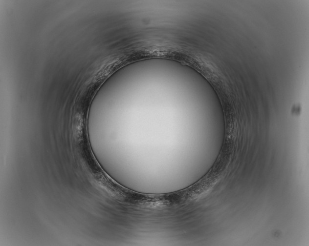 X0000090860646200708171606