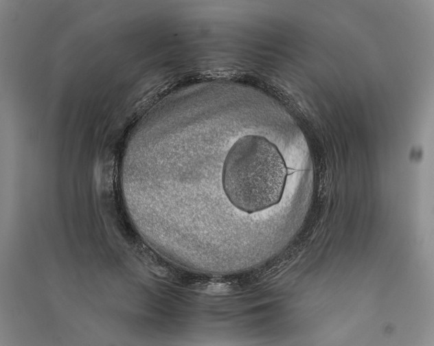 X0000090860647200708171606