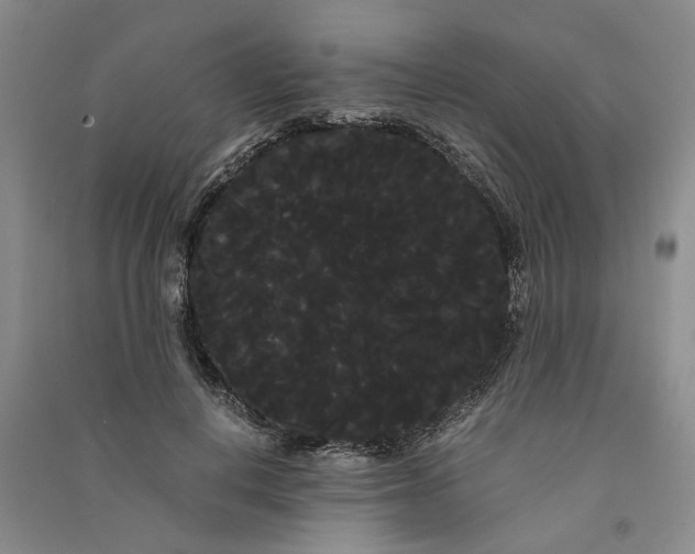 X0000090860648200708171606