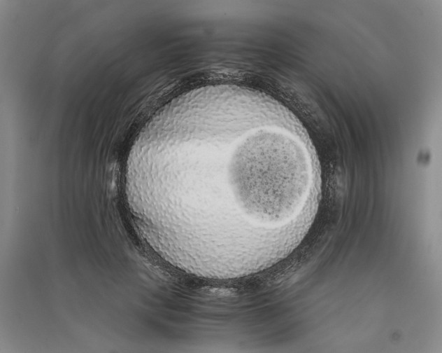X0000090860649200708171606