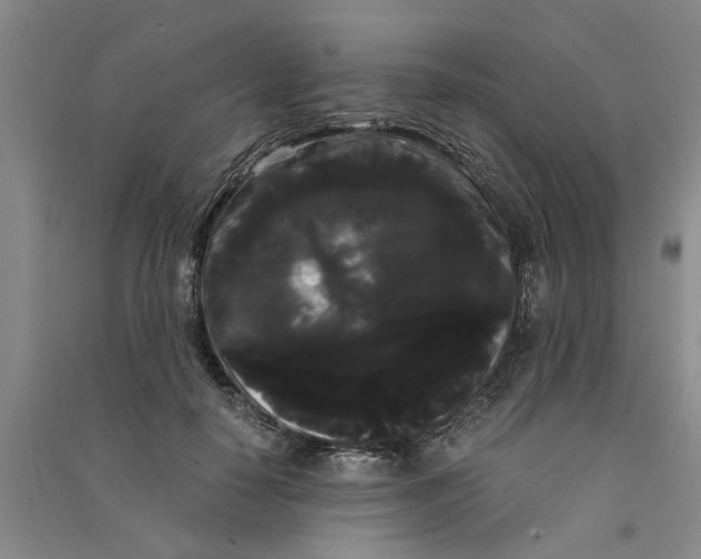 X0000090860650200708171606