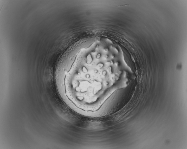 X0000090860651200708171606