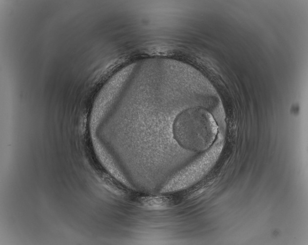 X0000090860652200708171606