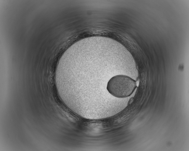 X0000090860653200708171606