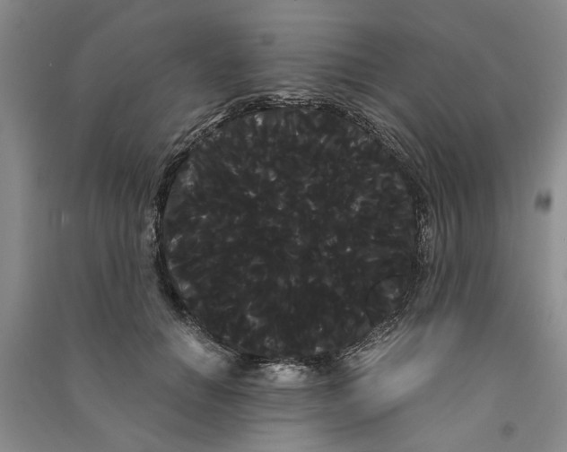 X0000090860654200708171606