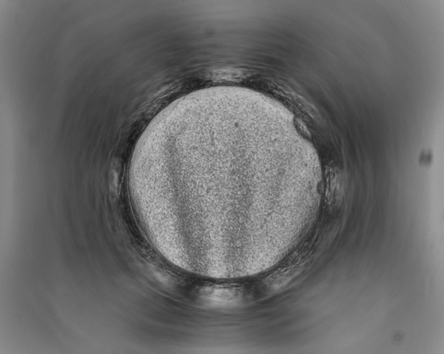 X0000090860655200708171606