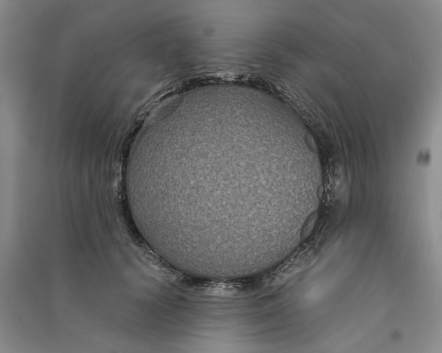 X0000090860656200708171606