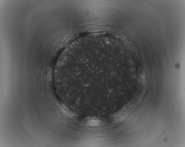 X0000090860658200708171606