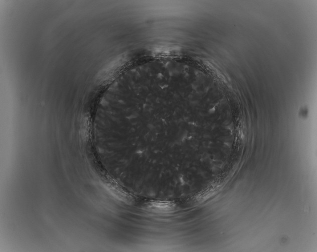 X0000090860659200708171606