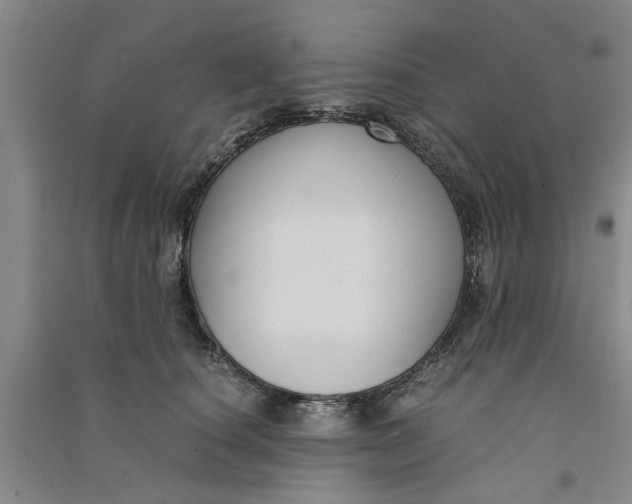 X0000090860660200708171606