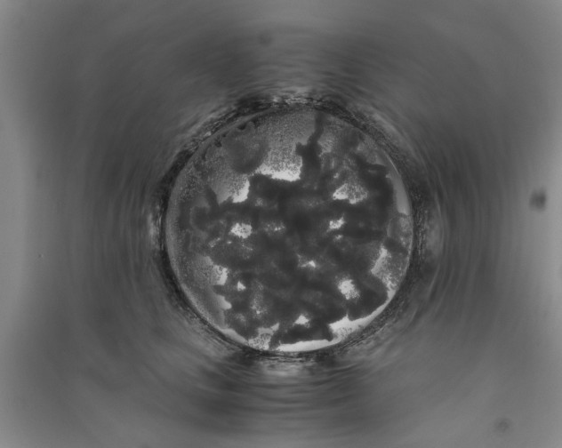 X0000090860661200708171606