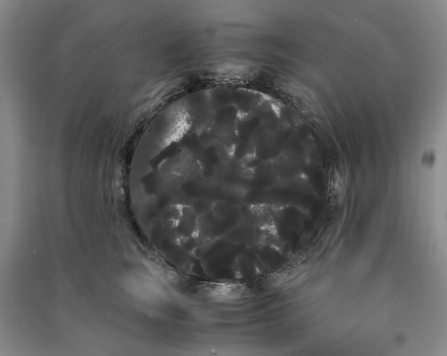 X0000090860663200708171606