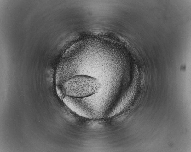 X0000090860664200708171606
