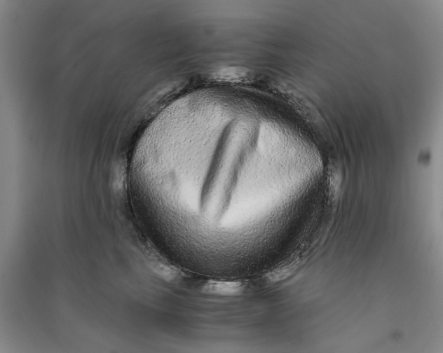 X0000090860665200708171606