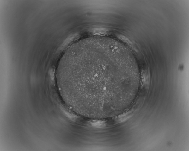 X0000090860667200708171606