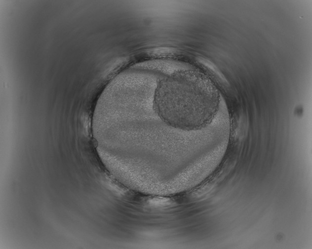 X0000090860669200708171606