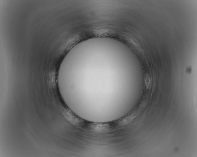 X0000090860670200708171606