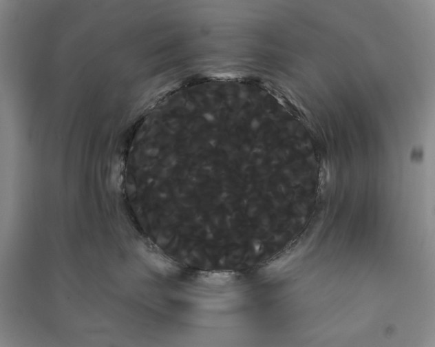 X0000090860671200708171606